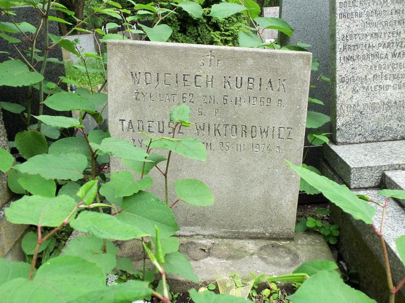 Zdjęcie grobu Wojciech Kubiak (2)