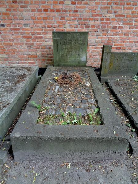 Zdjęcie grobu Władysław Szczepanowski (1)