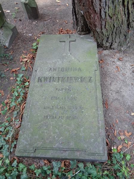 Zdjęcie grobu Antonina Kwintkiewicz (1)