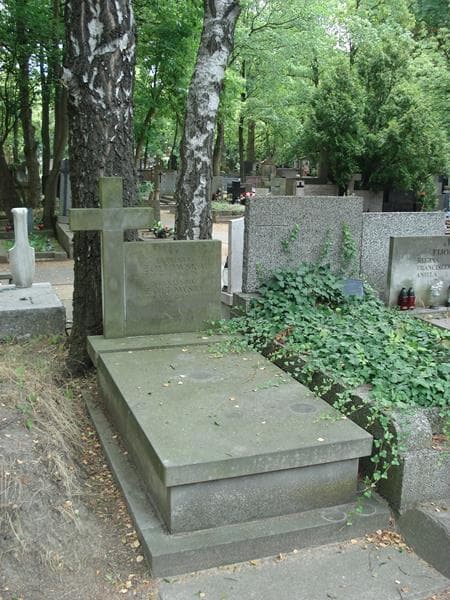 Zdjęcie grobu Stanisław Żółtowski (1)