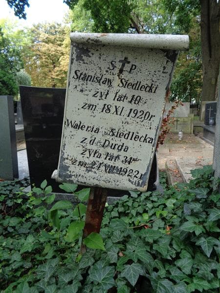 Zdjęcie grobu Waleria Siedlecka (1)