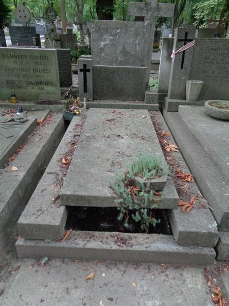 Zdjęcie grobu Zofia Beitz (1)