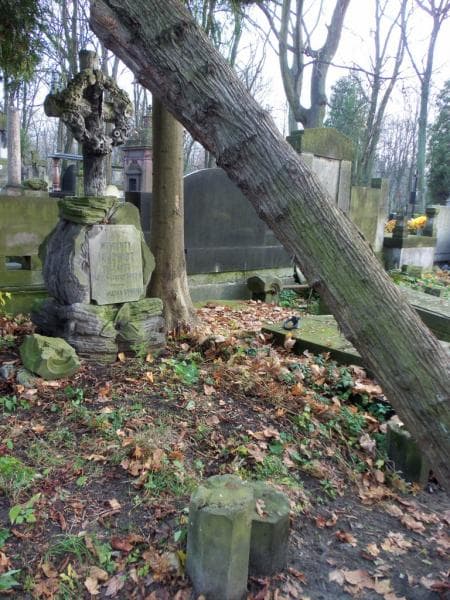 Zdjęcie grobu Wincenty Janowicz (1)