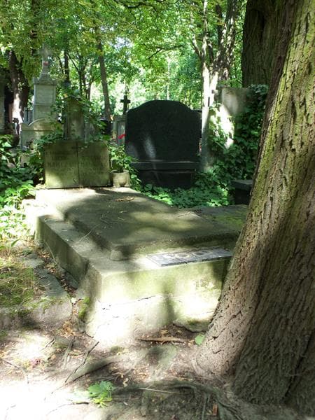 Zdjęcie grobu: Bolesław Mamczyc