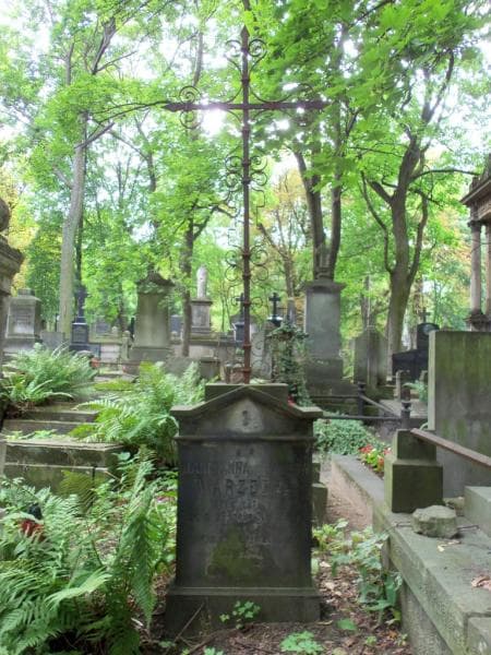Zdjęcie grobu Marcjanna Warzecha (2)