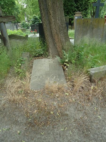 Zdjęcie grobu: Stanisław Trzeciak