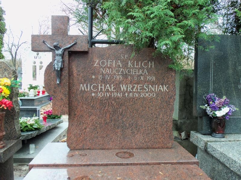 Zdjęcie grobu Michał Wrześniak (2)