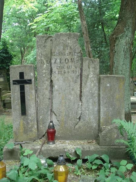 Zdjęcie grobu Romuald Kozłowski (1)
