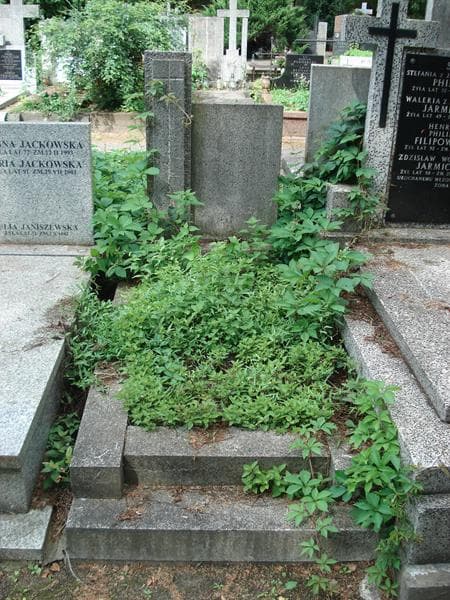 Zdjęcie grobu: Adela Wasserab