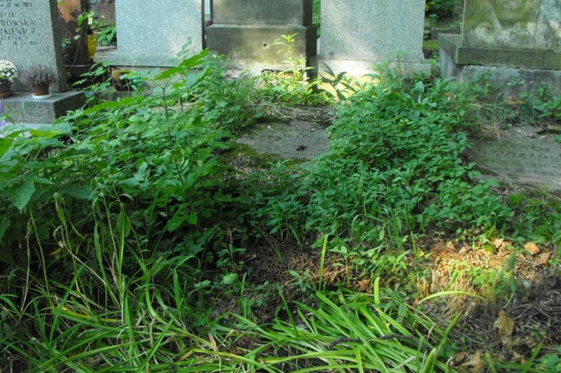 Zdjęcie grobu: Wiktoryn Krzymiński