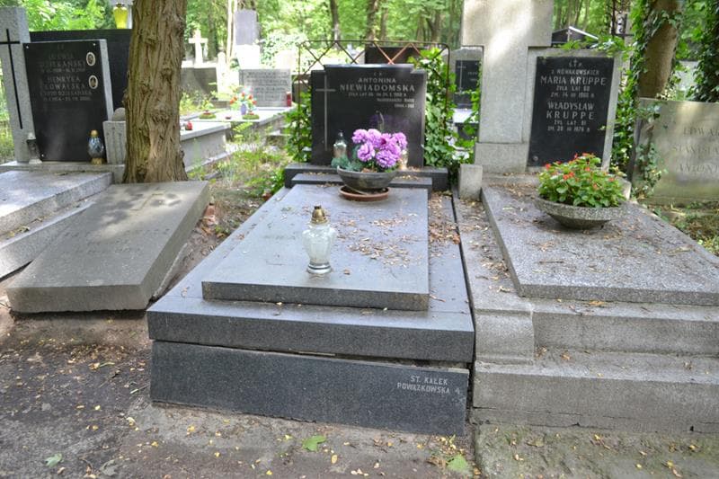 Zdjęcie grobu Antonina Niewiadomska (1)