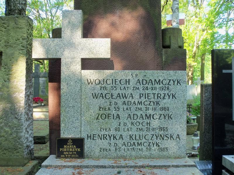 Zdjęcie grobu Henryka Kluczyńska (2)