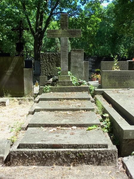 Zdjęcie grobu: Franciszek Honckiewicz