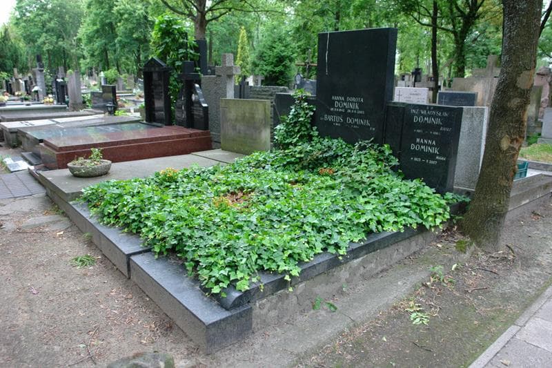Zdjęcie grobu: Władysław Dominik
