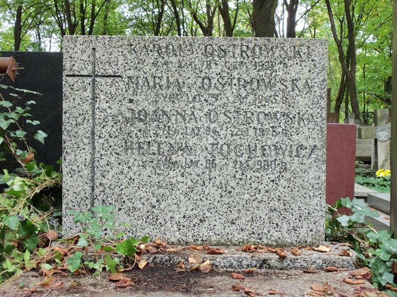 Zdjęcie grobu Helena Tochowicz (2)