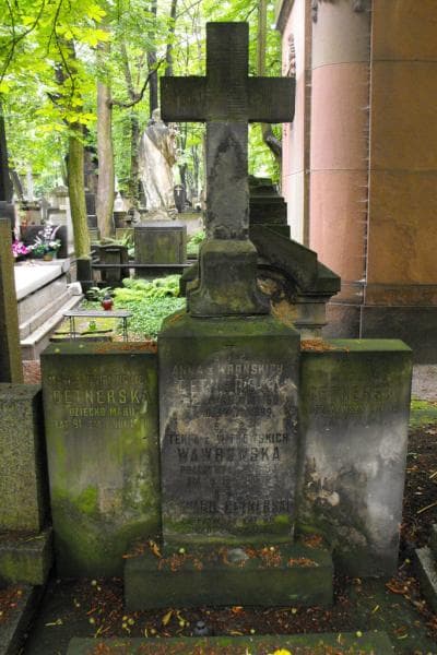Zdjęcie grobu Edward Cetnerski (2)