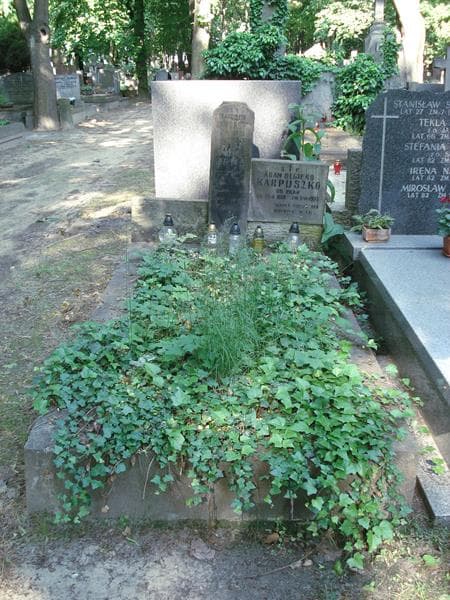 Zdjęcie grobu: Władysław Kozłowski