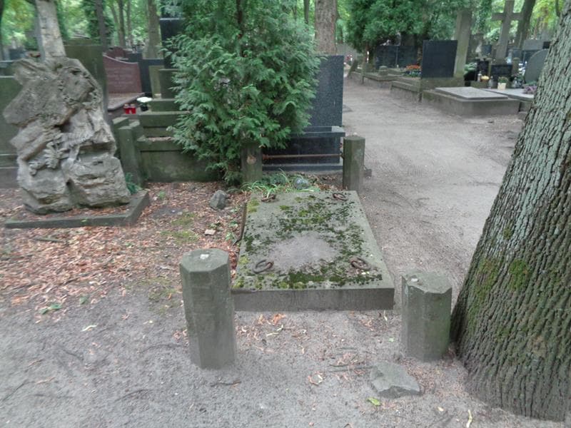 Zdjęcie grobu Franciszek Dąbrowski (1)