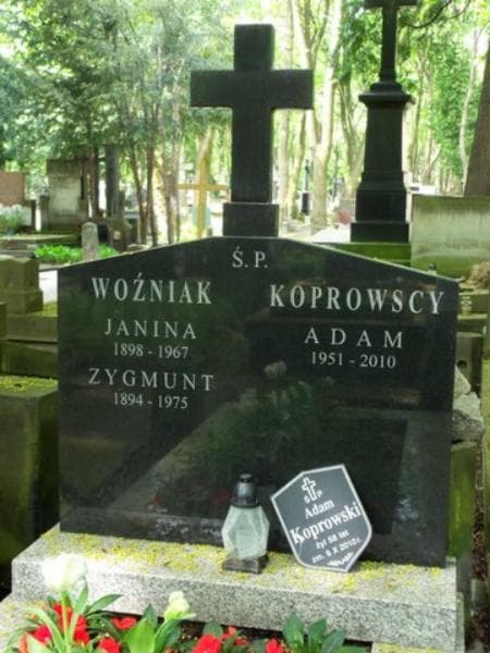 Zdjęcie grobu Janina Woźniak (2)