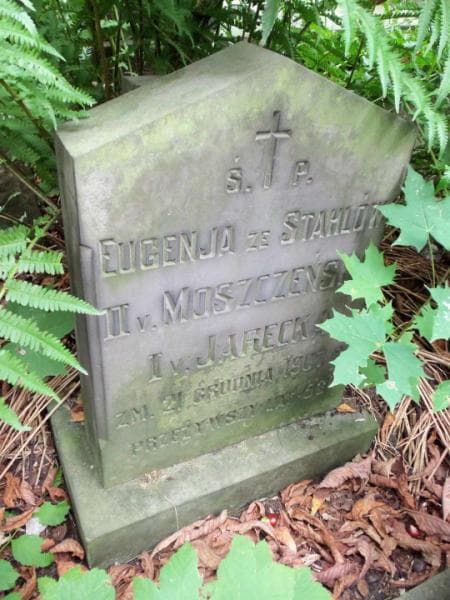 Zdjęcie grobu Aleksander Jarecki (2)