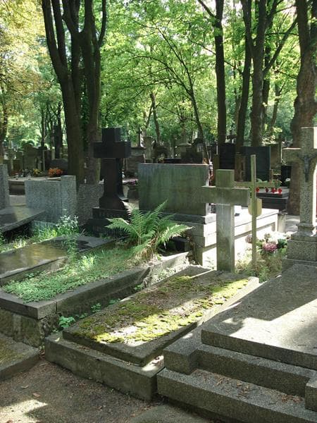 Zdjęcie grobu Janina Vietinghoff-Scheel (1)