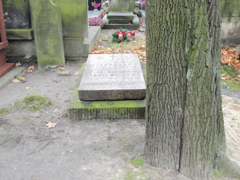 Zdjęcie grobu: Albin Lenkiewicz