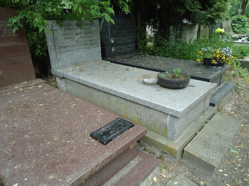 Zdjęcie grobu Halina Ludwika Jasnorzewska-Kaduszkiewicz (1)