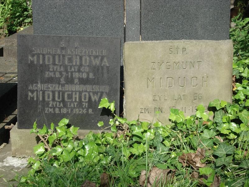 Zdjęcie grobu Zygmunt Miduch (2)
