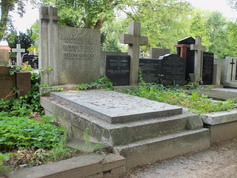 Zdjęcie grobu Aleksander Dębicki (1)