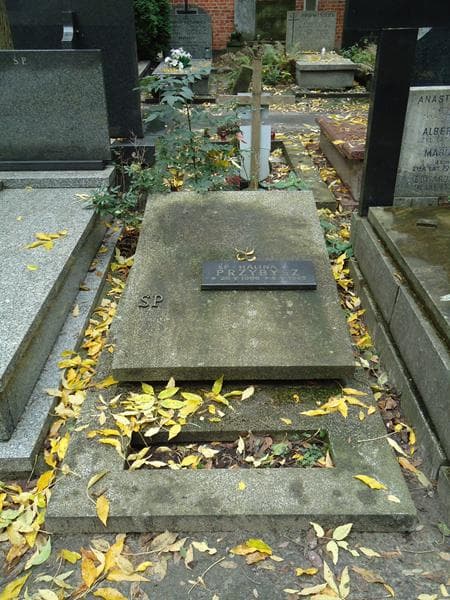 Zdjęcie grobu: Halina Przybysz