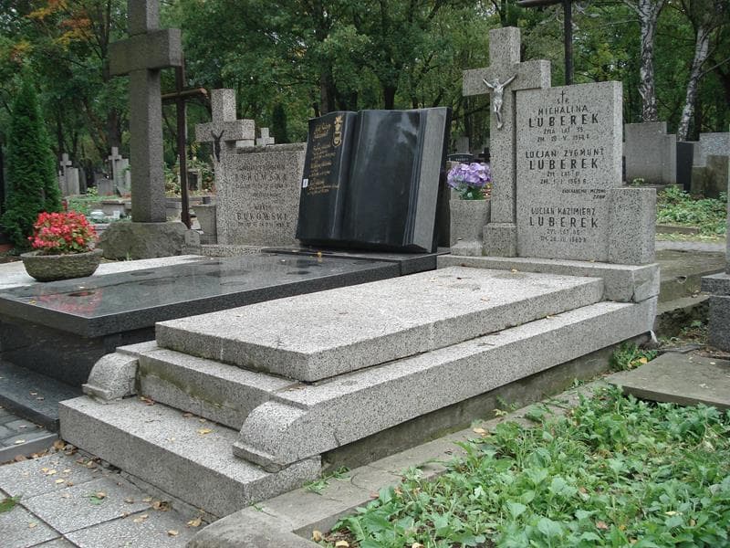 Zdjęcie grobu Michalina Luberek (1)