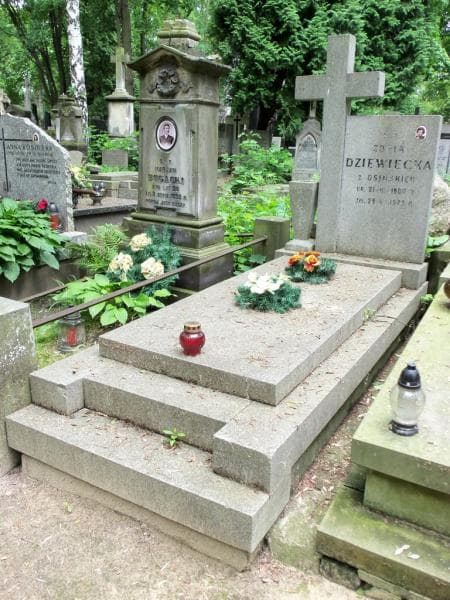 Zdjęcie grobu Zofia Dziewiecka (1)