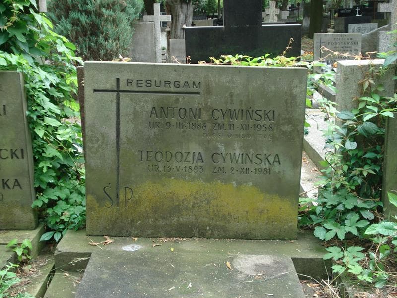 Zdjęcie grobu Antoni Cywiński (2)