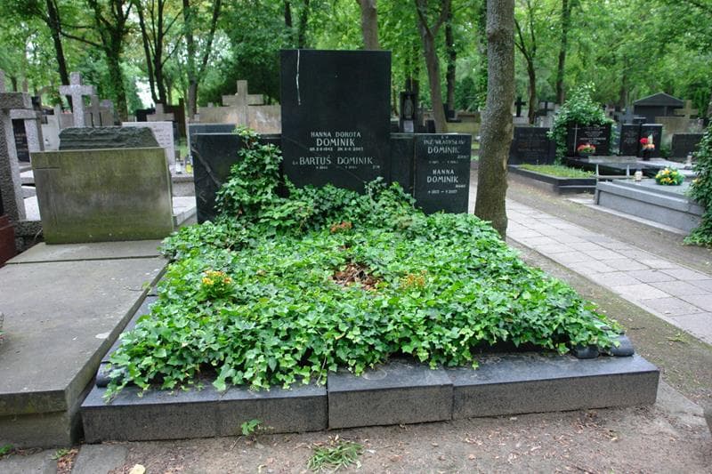 Zdjęcie grobu Władysław Dominik (1)