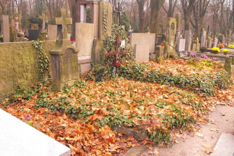 Zdjęcie grobu Helena Wolmerowa (1)