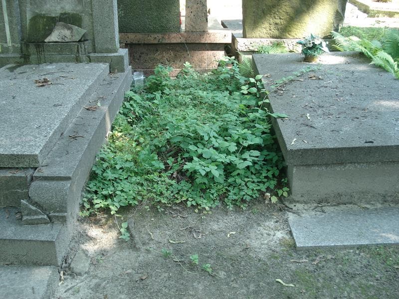 Zdjęcie grobu: Pole Grobowe