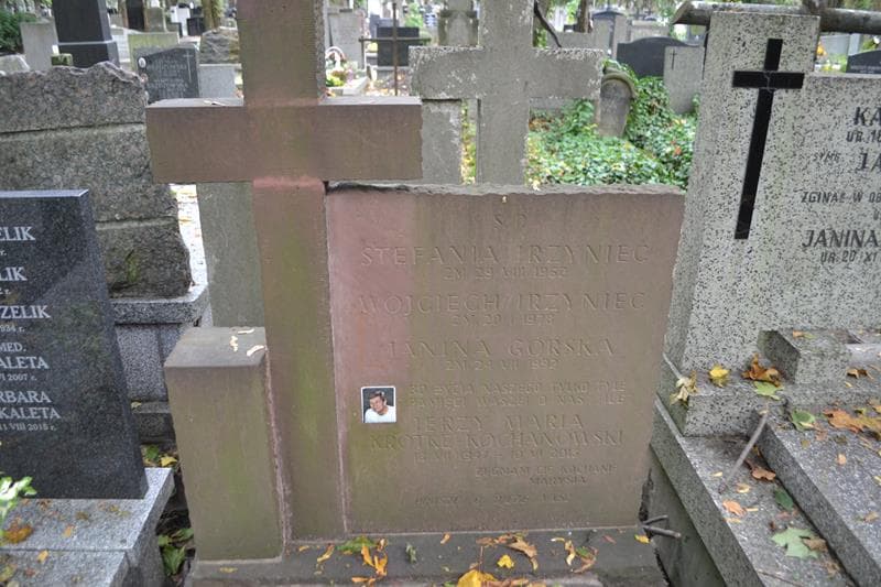 Zdjęcie grobu Stefania Irzyniec (2)