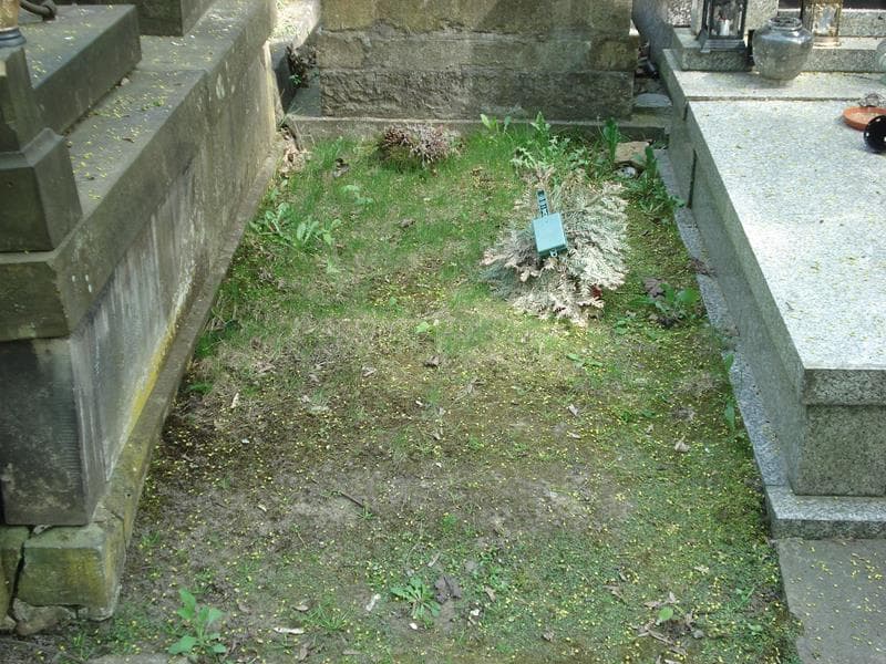 Zdjęcie grobu: Pole Grobowe