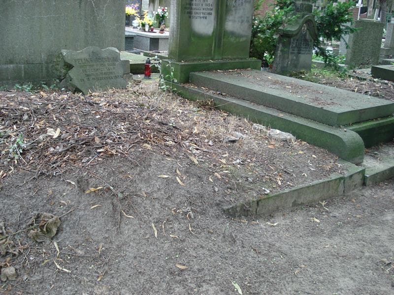 Zdjęcie grobu Feliks Józwicki (1)