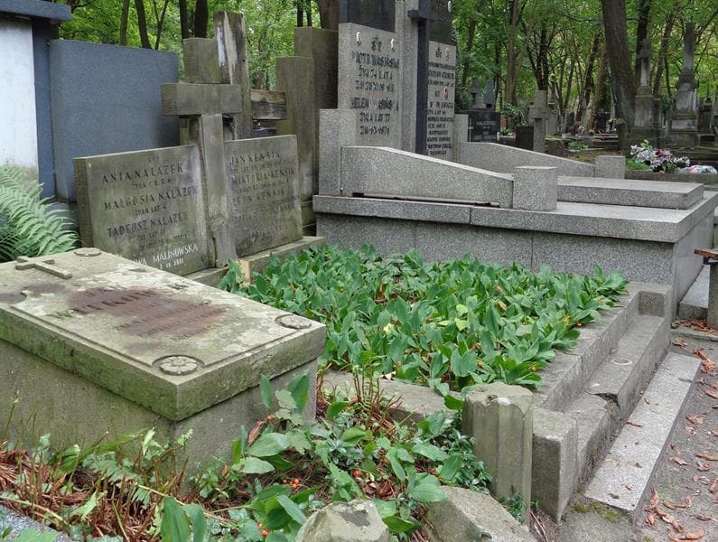 Zdjęcie grobu: Zofia Rzeczkowska