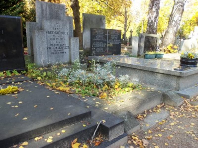 Zdjęcie grobu Władysława Prędkiewicz (1)