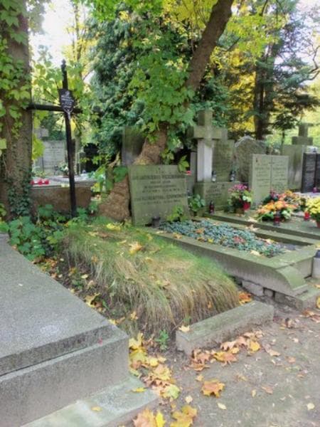 Zdjęcie grobu Stanisław Mikołajczyk (1)