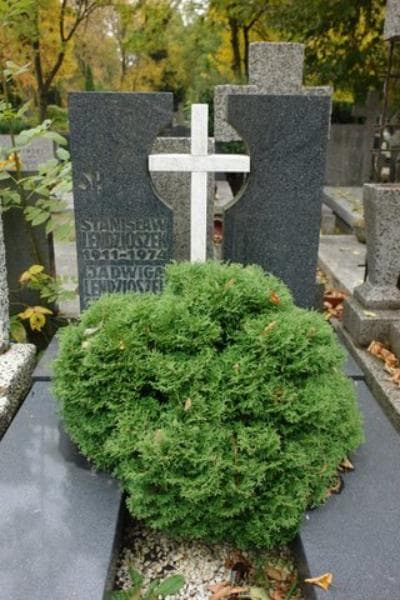 Zdjęcie grobu Stanisław Lendzioszek (2)