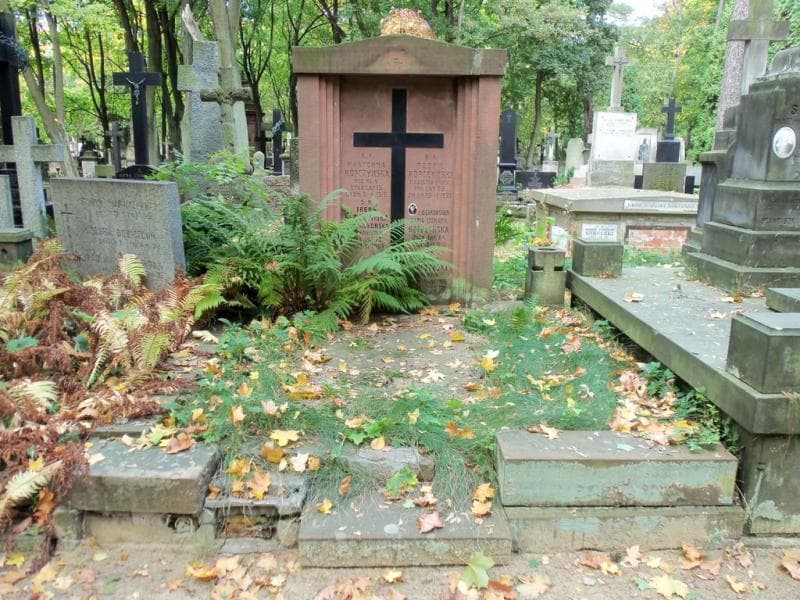 Zdjęcie grobu: Teofil Kópczyński