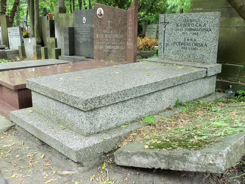 Zdjęcie grobu Anna Podmagórska (1)
