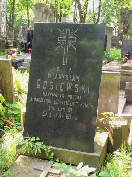 Zdjęcie grobu Władysław Gosiewski (2)