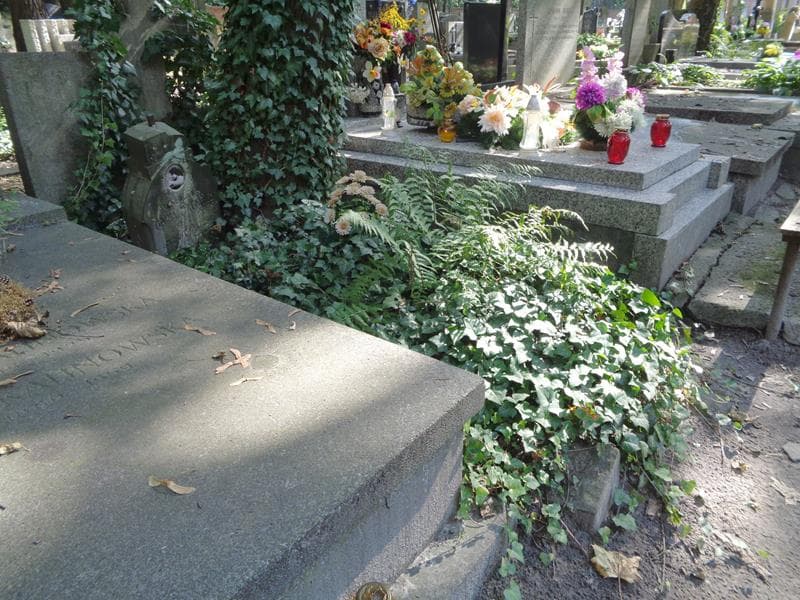Zdjęcie grobu: Maria Maciążek