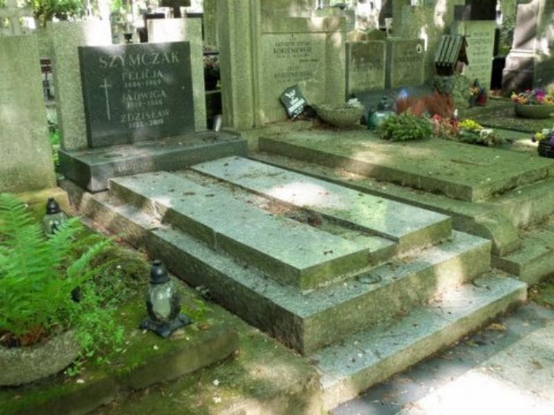 Zdjęcie grobu Władysław Wasilewski (1)