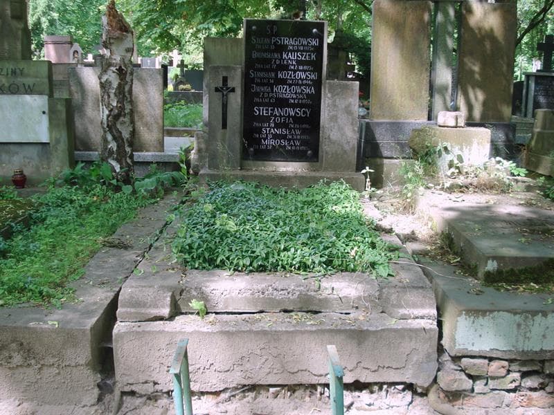 Zdjęcie grobu Stanisław Kozłowski (1)