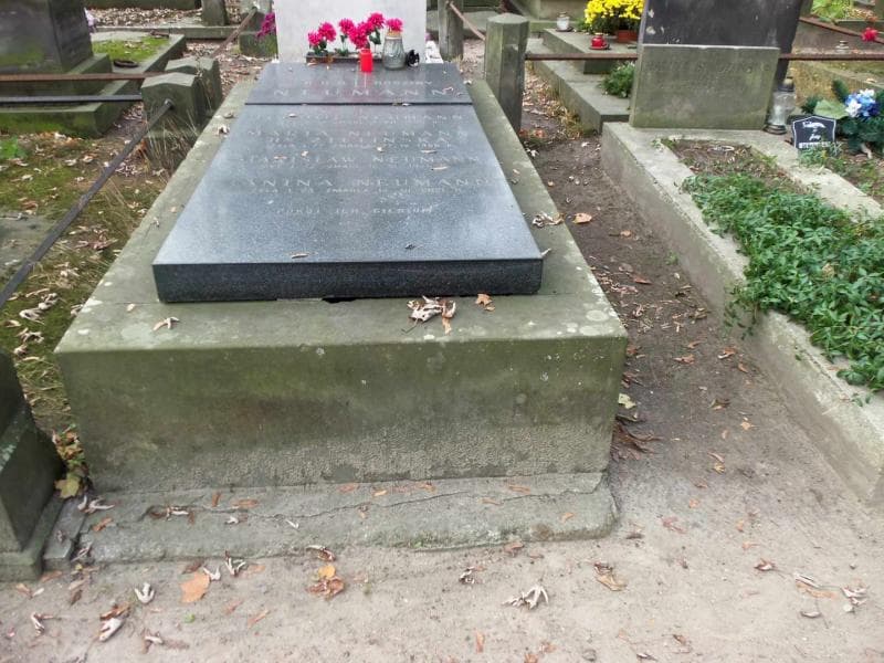 Zdjęcie grobu: Teodor Neumann